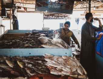 Fish Market (2)