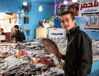 Fish Market (3)